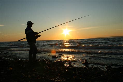 釣魚農家樂怎麼樣，是否能在都市中找到一片寧靜的天地？